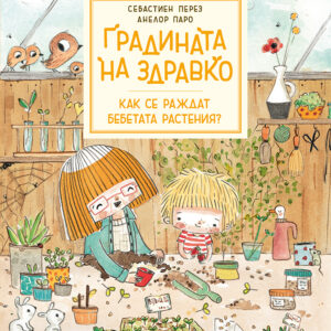 gradinata na zdravko 4 001.jpg